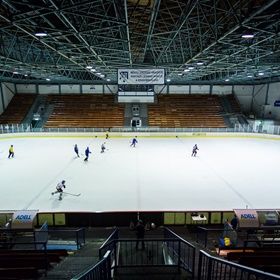 Nedělní hokej 30.3.2014