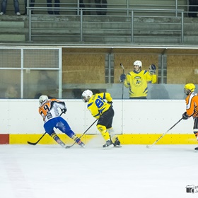 AHL 14-15: HC Včelary - HC Dynamo Slovácko