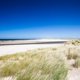 Texel