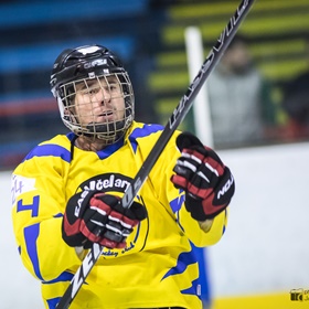 AHL 16-17: HC Včelary - HC Piráti Lagunators