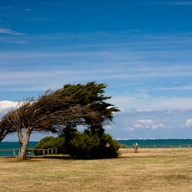 Saint-Denis-d'Oléron