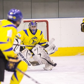 AHL 17-18: HC Včelary - HC Scorpions