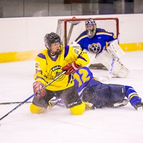  AHL 18-19: HC Včelary - HC Piráti Lagunators, 2. ČF