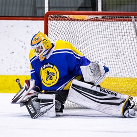 SAHL 19-20: HC Včelary - HC Bizon #1