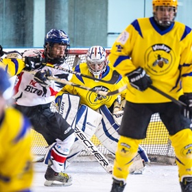 SAHL 19-20: HC Včelary - HC Bizon #8