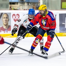 VHL-C 19-20: HC Pozlovice vs HC Šumičtí Sokoli #26